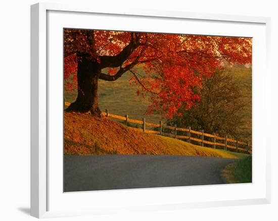 Country Lane, Faquier County, Virginia, USA-Kenneth Garrett-Framed Photographic Print