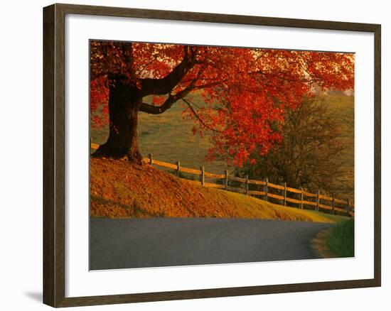 Country Lane, Faquier County, Virginia, USA-Kenneth Garrett-Framed Photographic Print