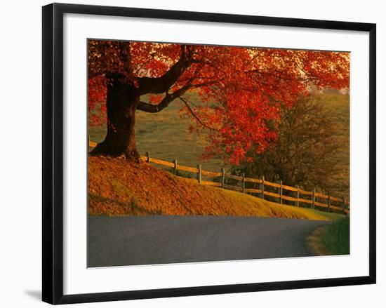 Country Lane, Faquier County, Virginia, USA-Kenneth Garrett-Framed Photographic Print