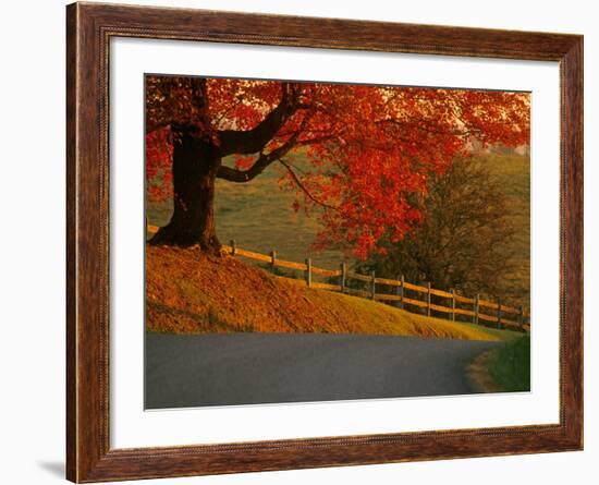 Country Lane, Faquier County, Virginia, USA-Kenneth Garrett-Framed Photographic Print