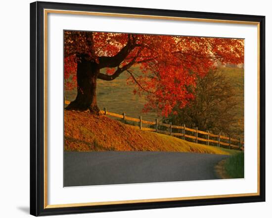 Country Lane, Faquier County, Virginia, USA-Kenneth Garrett-Framed Photographic Print