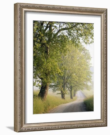 Country Lane, Great Smokey Mountains National Park, Tennessee, USA-Adam Jones-Framed Photographic Print