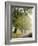 Country Lane, Great Smokey Mountains National Park, Tennessee, USA-Adam Jones-Framed Photographic Print