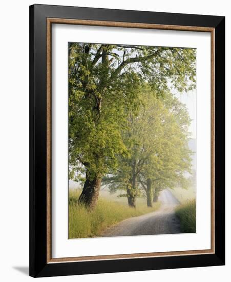 Country Lane, Great Smokey Mountains National Park, Tennessee, USA-Adam Jones-Framed Photographic Print