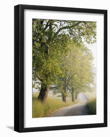 Country Lane, Great Smokey Mountains National Park, Tennessee, USA-Adam Jones-Framed Photographic Print