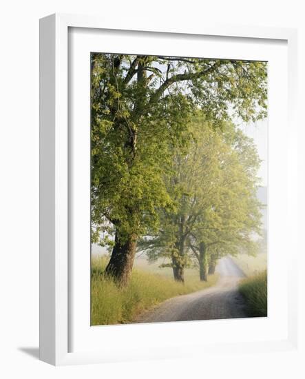 Country Lane, Great Smokey Mountains National Park, Tennessee, USA-Adam Jones-Framed Photographic Print