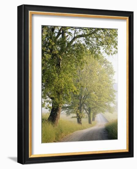 Country Lane, Great Smokey Mountains National Park, Tennessee, USA-Adam Jones-Framed Photographic Print