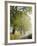 Country Lane, Great Smokey Mountains National Park, Tennessee, USA-Adam Jones-Framed Photographic Print