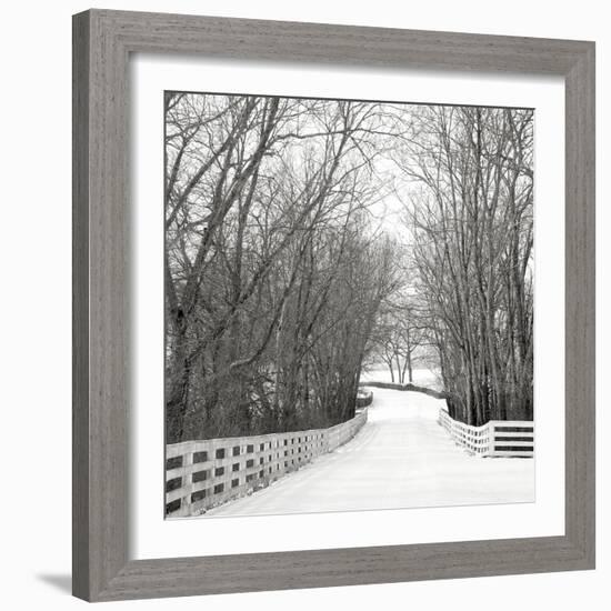 Country Lane in Winter-Nicholas Bell-Framed Photographic Print