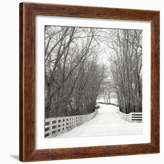 Country Lane in Winter-Nicholas Bell-Framed Photographic Print