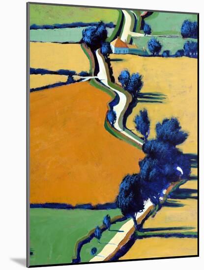 Country Lane Spring II-Paul Powis-Mounted Giclee Print