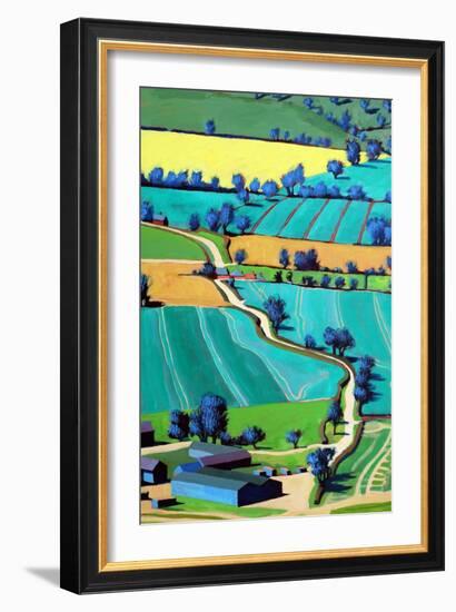 Country Lane Summer II-Paul Powis-Framed Giclee Print