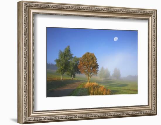 Country Lane Through the Meadows of the Eastern Rhšn Near Breitungen, Fog, Decreasing Moon-Uwe Steffens-Framed Photographic Print