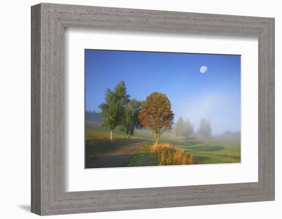 Country Lane Through the Meadows of the Eastern Rhšn Near Breitungen, Fog, Decreasing Moon-Uwe Steffens-Framed Photographic Print