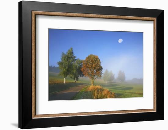 Country Lane Through the Meadows of the Eastern Rhšn Near Breitungen, Fog, Decreasing Moon-Uwe Steffens-Framed Photographic Print