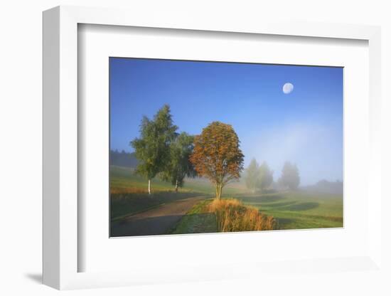 Country Lane Through the Meadows of the Eastern Rhšn Near Breitungen, Fog, Decreasing Moon-Uwe Steffens-Framed Photographic Print