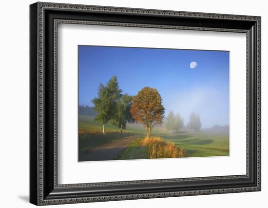 Country Lane Through the Meadows of the Eastern Rhšn Near Breitungen, Fog, Decreasing Moon-Uwe Steffens-Framed Photographic Print