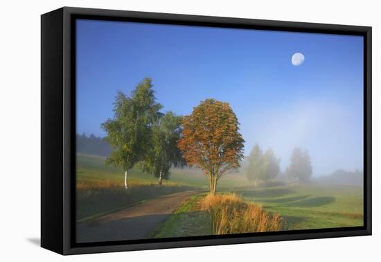 Country Lane Through the Meadows of the Eastern Rhšn Near Breitungen, Fog, Decreasing Moon-Uwe Steffens-Framed Premier Image Canvas