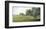 Country Lane-Ray Hendershot-Framed Art Print