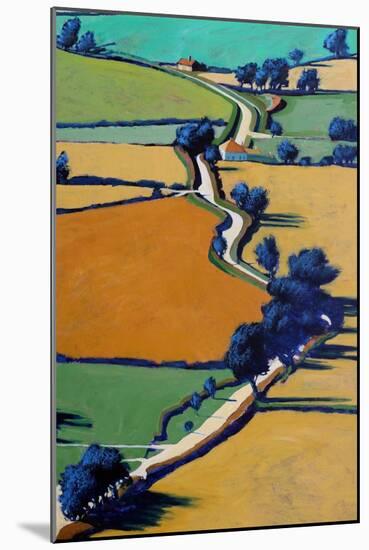 Country Lane-Paul Powis-Mounted Giclee Print