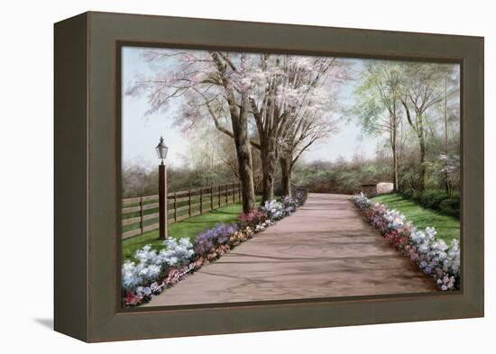Country Lane-Diane Romanello-Framed Stretched Canvas