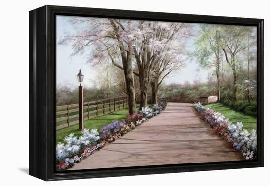 Country Lane-Diane Romanello-Framed Stretched Canvas