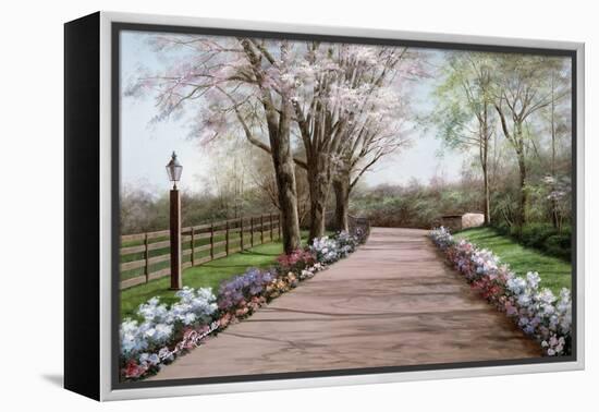 Country Lane-Diane Romanello-Framed Stretched Canvas