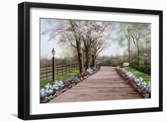 Country Lane-Diane Romanello-Framed Art Print