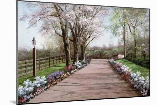 Country Lane-Diane Romanello-Mounted Art Print