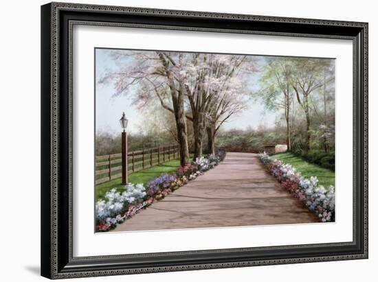 Country Lane-Diane Romanello-Framed Art Print