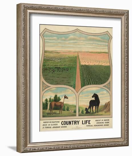 Country Life, c. 1904-Vintage Reproduction-Framed Art Print