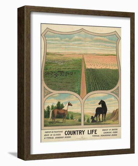 Country Life, c. 1904-Vintage Reproduction-Framed Art Print