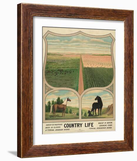 Country Life, c. 1904-Vintage Reproduction-Framed Art Print