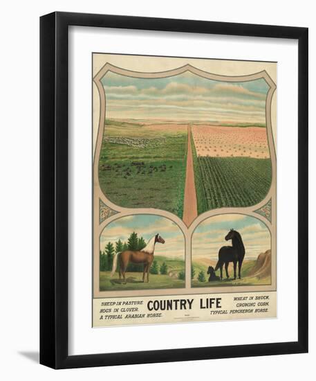 Country Life, c. 1904-Vintage Reproduction-Framed Art Print