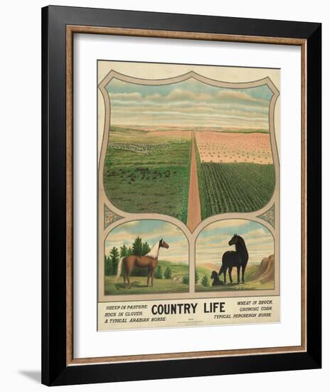 Country Life, c. 1904-Vintage Reproduction-Framed Art Print