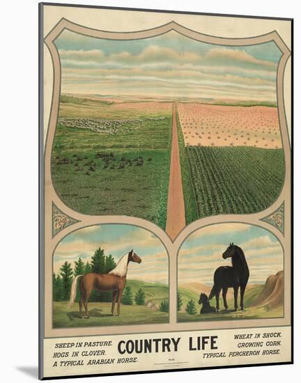 Country Life, c. 1904-Vintage Reproduction-Mounted Art Print