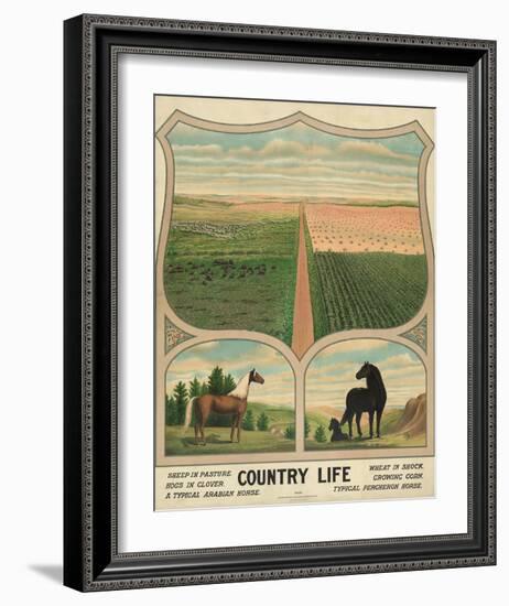 Country Life, c. 1904-Vintage Reproduction-Framed Art Print