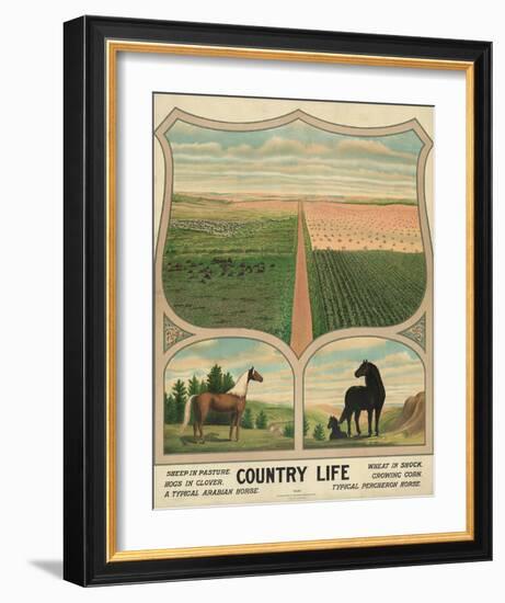 Country Life, c. 1904-Vintage Reproduction-Framed Art Print