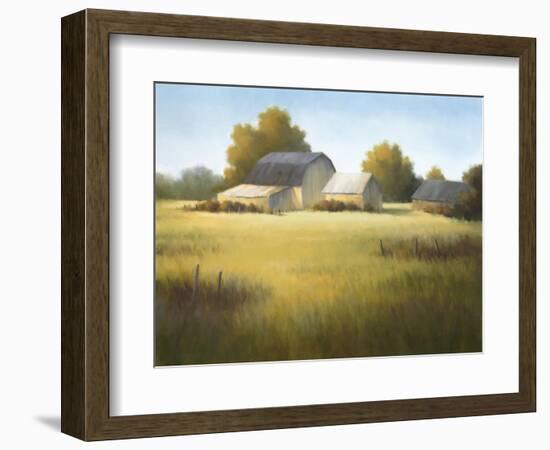 Country Meadow I-David Marty-Framed Giclee Print