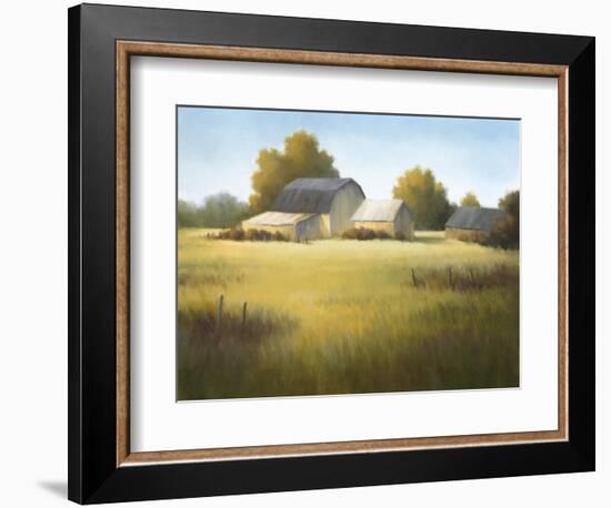 Country Meadow I-David Marty-Framed Giclee Print