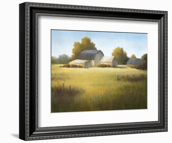 Country Meadow I-David Marty-Framed Giclee Print