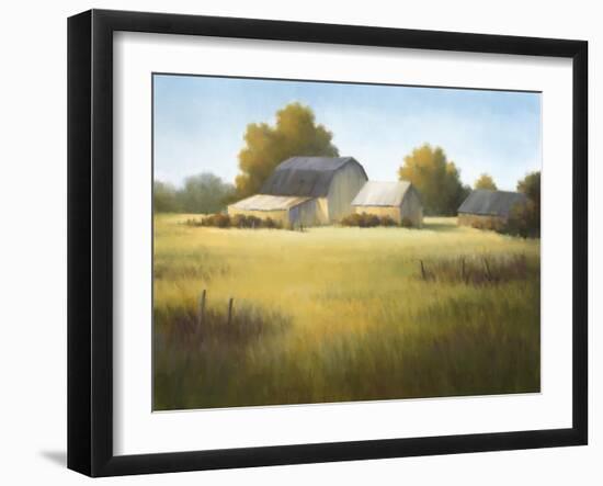 Country Meadow I-David Marty-Framed Giclee Print