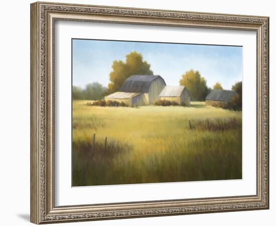 Country Meadow I-David Marty-Framed Premium Giclee Print