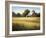 Country Meadow II-David Marty-Framed Premium Giclee Print