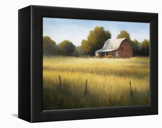 Country Meadow II-David Marty-Framed Premier Image Canvas