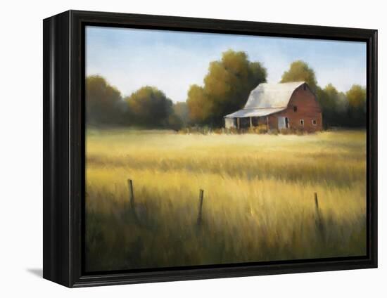 Country Meadow II-David Marty-Framed Premier Image Canvas