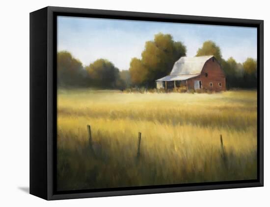 Country Meadow II-David Marty-Framed Premier Image Canvas