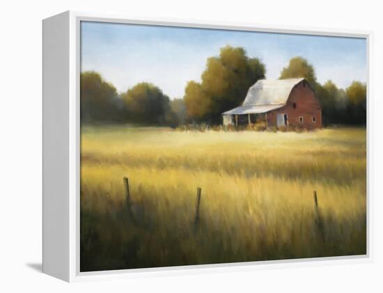 Country Meadow II-David Marty-Framed Premier Image Canvas