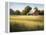 Country Meadow II-David Marty-Framed Premier Image Canvas