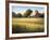 Country Meadow II-David Marty-Framed Premium Giclee Print